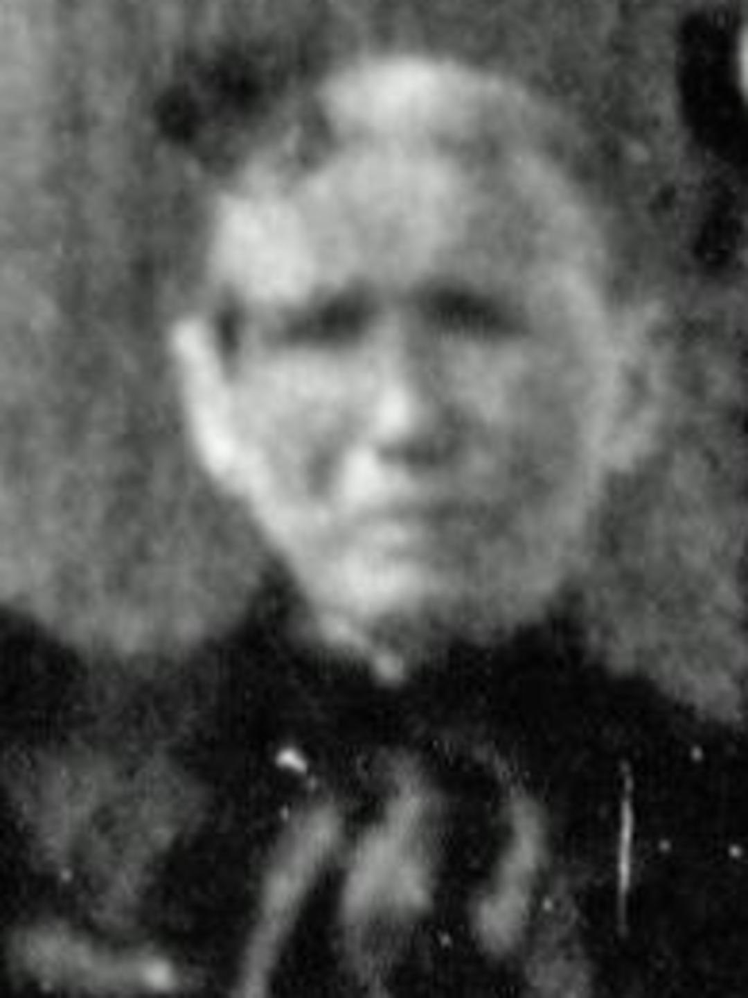 Sarah Ann Runyon (1834 - 1919) Profile